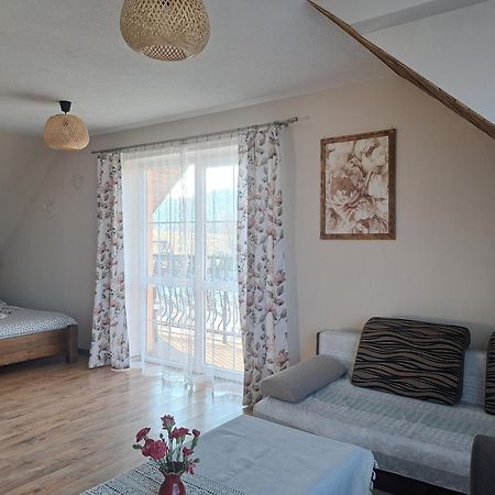 Willa Diana- z panoramą jeziora i gór w Polańczyku Zewnętrze zdjęcie